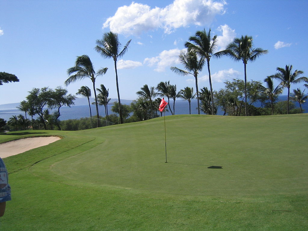VIGolf.ca
