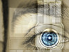 "Quiet Eye"